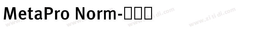 MetaPro Norm字体转换